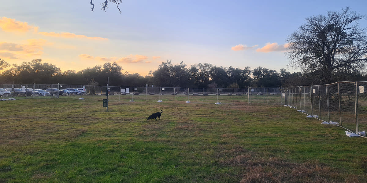 Featured image for Circle C Ranch Pilot Dog Off-Leash Area Survey